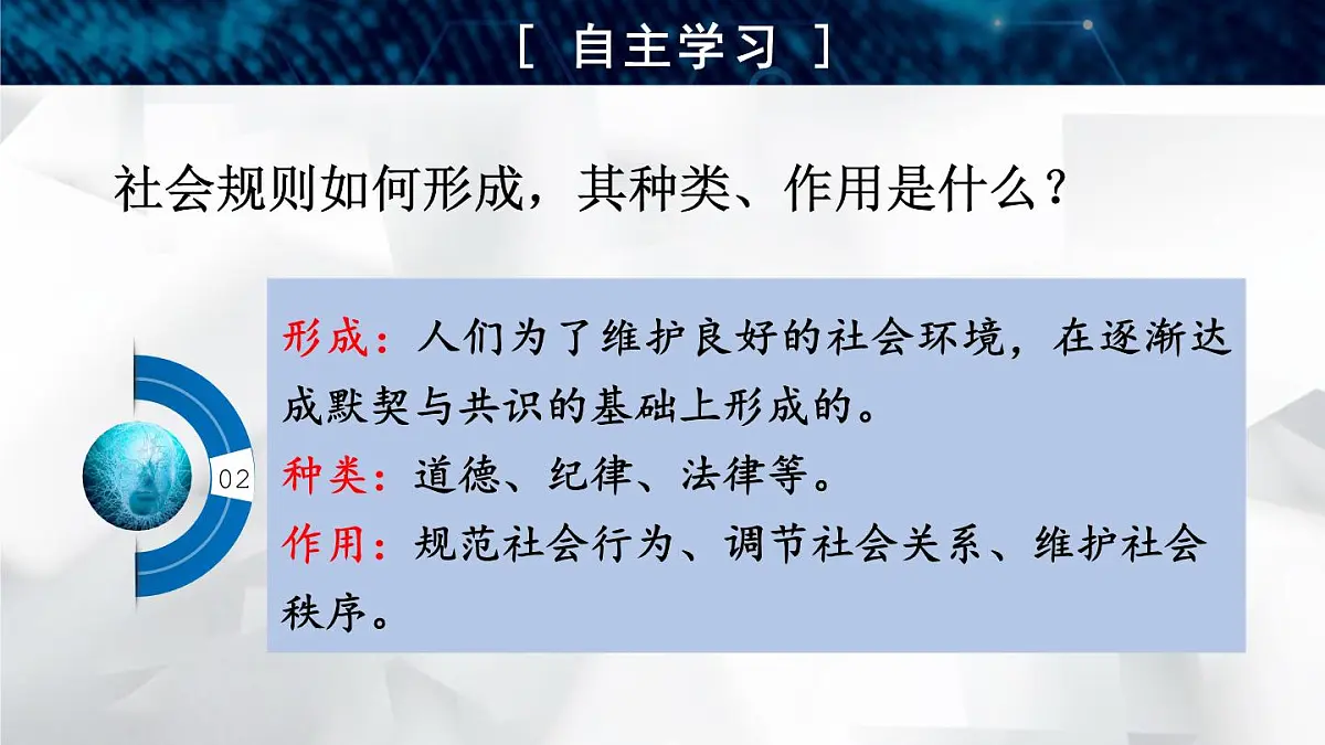 2.4.1 维护秩序靠规则第8页