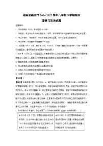 河南省南阳市2024-2025学年八年级下学期期末道德与法治试题（解析版）