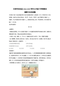 天津市河东区2024-2025学年七年级下学期期末道德与法治试卷(解析版)