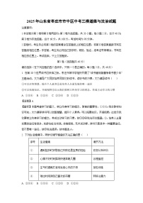 2025年山东省枣庄市市中区中考三模道德与法治试卷（解析版）