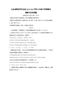 山东省青岛市市北区2024-2025学年八年级下学期期末道德与法治试卷（学生版）