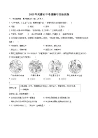 2025年天津市中考道德与法治试卷（含详细答案解析）