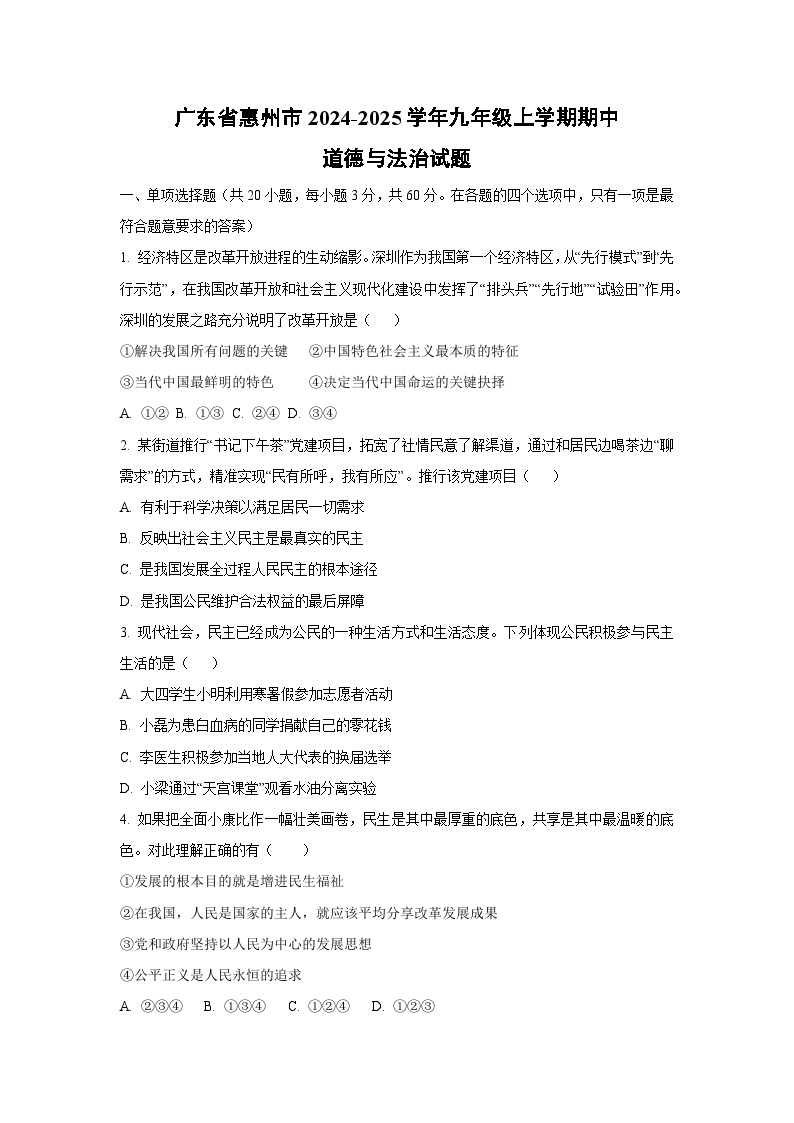 广东省惠州市2024-2025学年九年级上学期期中道德与法治试卷（学生版）