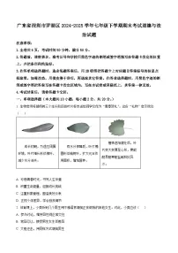 精品解析:广东省深圳市罗湖区2024-2025学年七年级下学期期末考试道德与法治试题含答案