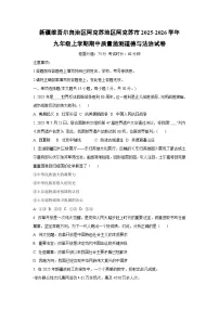 新疆维吾尔自治区阿克苏地区阿克苏市2025-2026学年九年级上学期期中质量监测道德与法治试卷（学生版）
