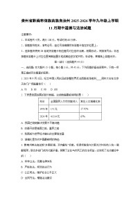 贵州省黔南布依族苗族自治州2025-2026学年九年级上学期11月期中道德与法治试题(学生版)