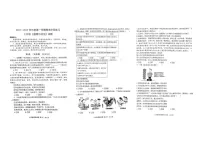 山东省济宁市汶上县2024-2025学年七年级上学期期末阶段练习道德与法治试卷