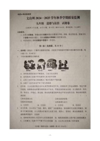 云南省文山壮族苗族自治州2024-2025学年九年级上学期1月期末道德与法治试题