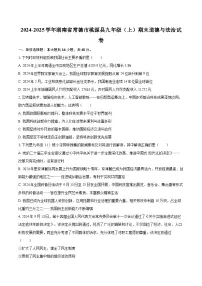 2024-2025学年湖南省常德市桃源县九年级（上）期末道德与法治试卷-自定义类型