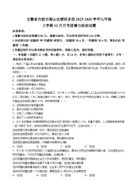 【9道第三次月考】安徽省合肥市蜀山区琥珀多校2025-2026学年九年级上学期12月月考道德与法治试题（含解析）