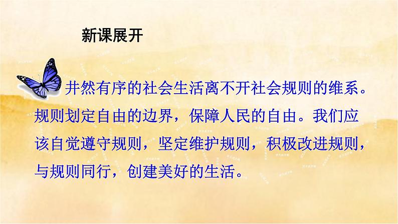 3.1《维护秩序》课件第5页