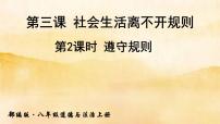 人教部编版八年级上册（道德与法治）遵守规则课文内容ppt课件