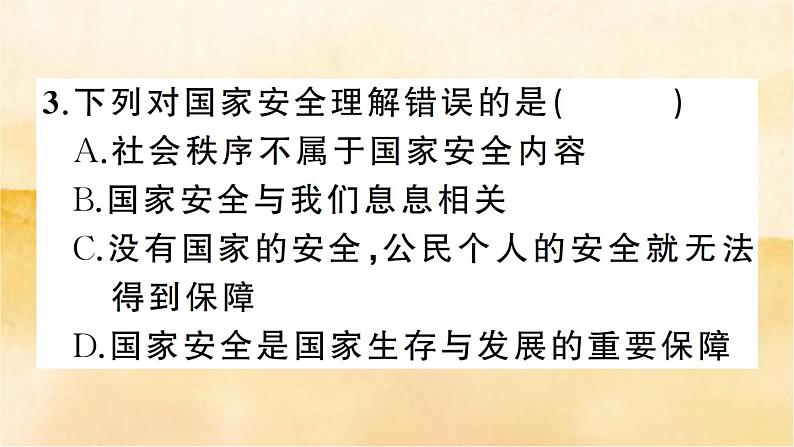9.1《认识总体国家安全观》作业课件第5页