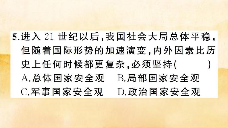 9.1《认识总体国家安全观》作业课件第8页