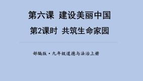 人教部编版九年级上册（道德与法治）共筑生命家园课堂教学ppt课件