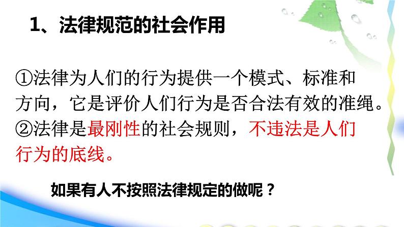 人教版道德与法治八年级上册 5.1 法不可违 课件(共20张PPT)04