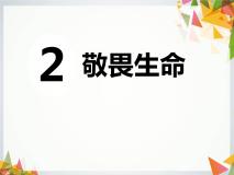 初中政治思品人教部编版七年级上册（道德与法治）敬畏生命备课ppt课件