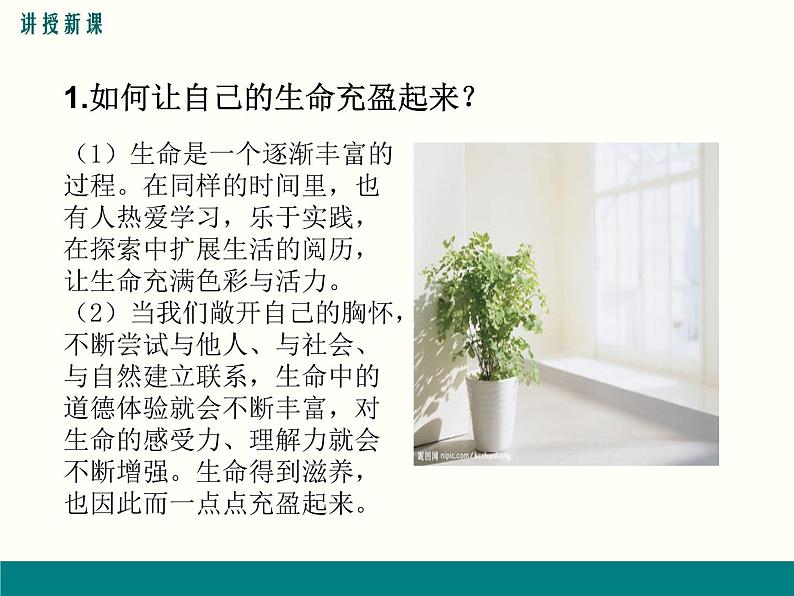 第四单元 10.2 活出生命的精彩 课件_七上道法第5页