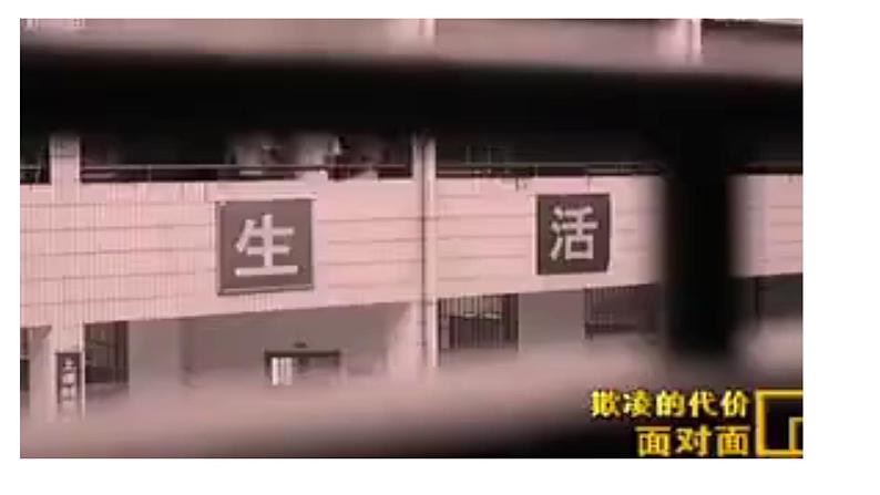 5.2预防犯罪 课件第4页