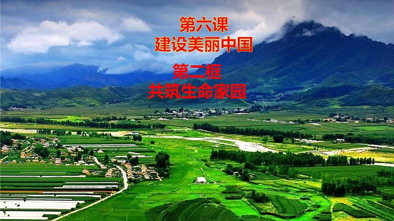 人教版道德与法治九年级上册 6.2 共筑生命家园 (36张PPT)课件01