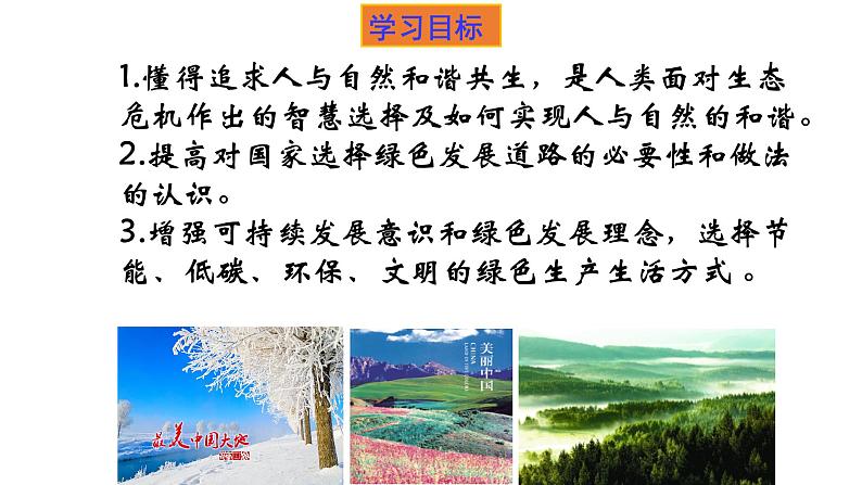 人教版道德与法治九年级上册 6.2 共筑生命家园 (36张PPT)课件02