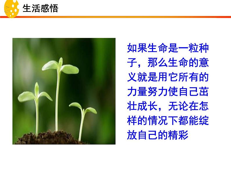 10.2 活出生命的精彩 课件-部编版道德与法治七年级上册(共24张PPT)第1页