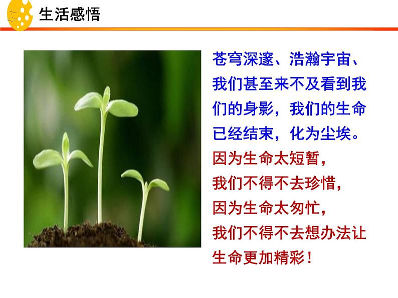 10.2 活出生命的精彩 课件-部编版道德与法治七年级上册(共24张PPT)第2页