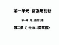 初中政治思品人教部编版九年级上册（道德与法治）走向共同富裕图文课件ppt