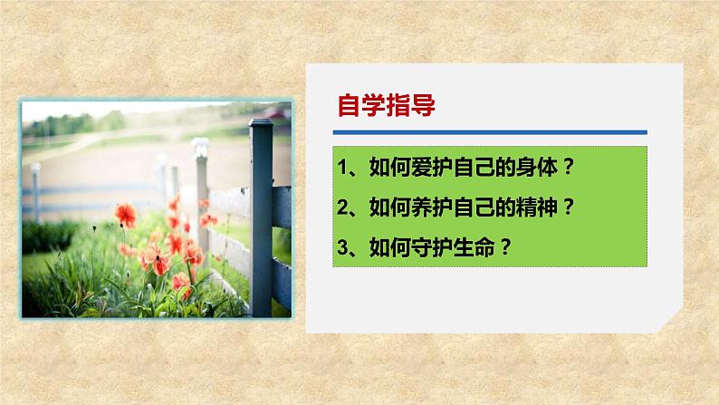 人教版《道德与法治》七年级上册:9.1 守护生命 课件04