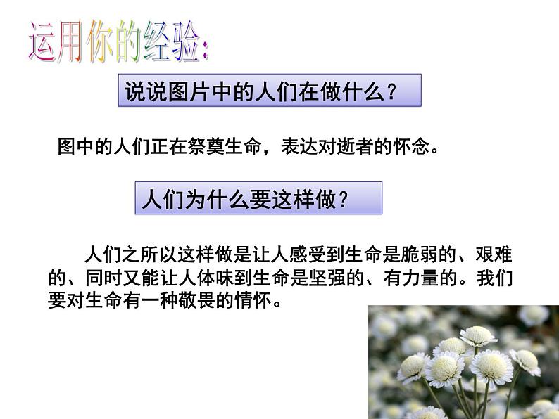 人教版道德与法治七年级上册 8.2 敬畏生命 课件第2页