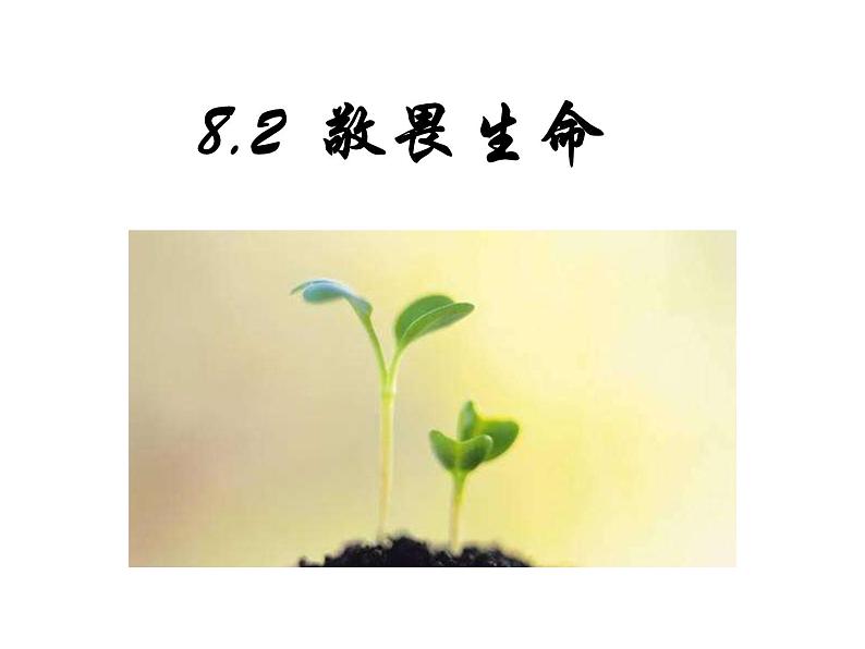 人教版道德与法治七年级上册 8.2 敬畏生命 课件第3页