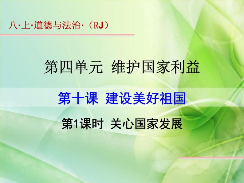 人教部编版八年级道德与法治上册 10.1关心国家发展  课件01