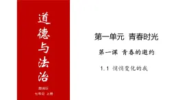 1.1 悄悄变化的我-高效备课丨七年级道德与法治下册同步课件（部编版）(共21张PPT)