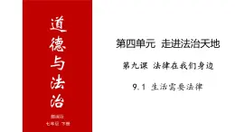 9.1 生活需要法律-高效备课丨七年级道德与法治下册同步课件（部编版）(共25张PPT)