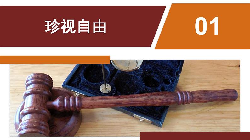 人教部编版八年级下册7.2 自由平等的追求 课件+视频素材04