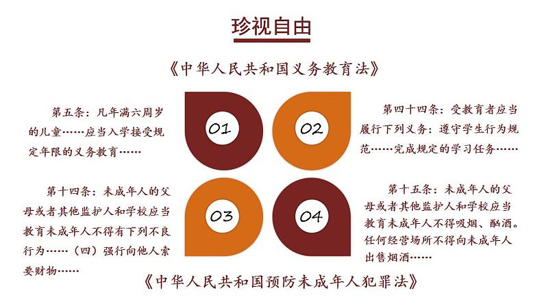 人教部编版八年级下册7.2 自由平等的追求 课件+视频素材06