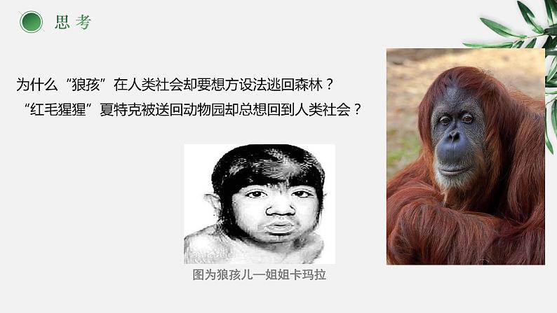 人教部编版 八年级上册(道德与法治) 第一单元 走进社会生活 第二课 网络生活新空间 丰富的社会生活第二框第4页