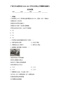 广西百色市田东县2020-2021学年九年级上学期期中道德与法治试题（word版 含答案）