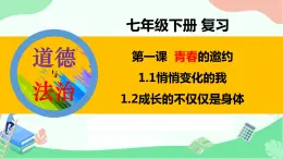 人教版道德与法治七年级下册 第一课 青春的邀约 复习课件（29张PPT）