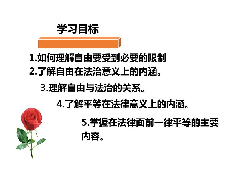 2020-2021学年人教版道德与法治八年级下册课件7.1 自由平等的真谛(46张)第3页