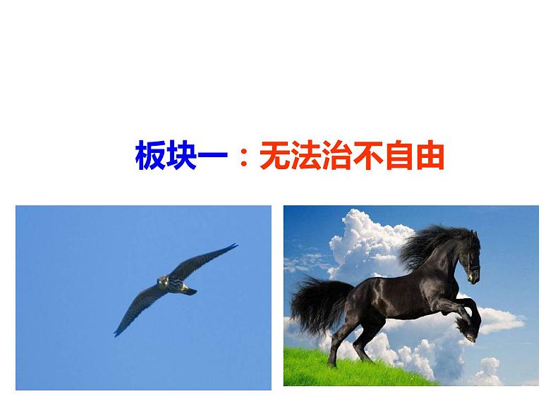2020-2021学年人教版道德与法治八年级下册课件7.1 自由平等的真谛(46张)第4页