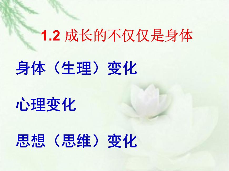 部編版 七下 道德與法治 1.2 成長(zhǎng)的不僅僅是身體 課件第1頁(yè)