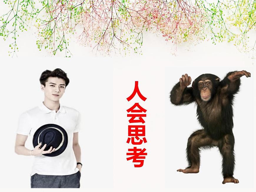 部編版 七下 道德與法治 1.2 成長(zhǎng)的不僅僅是身體 課件第2頁(yè)