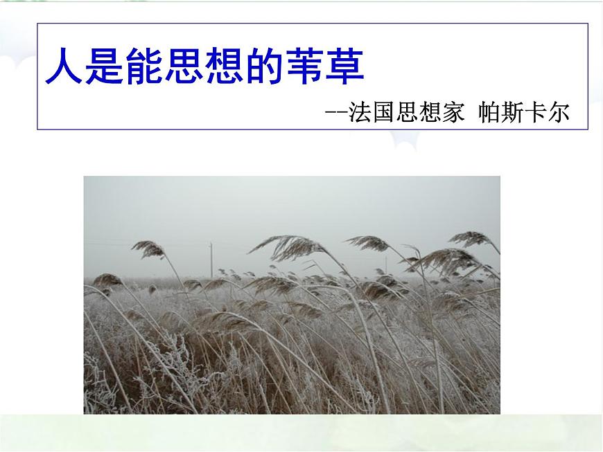 部編版 七下 道德與法治 1.2 成長(zhǎng)的不僅僅是身體 課件第3頁(yè)