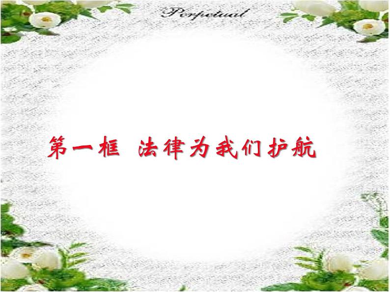 法律为我们护航课件(部编版)第5页