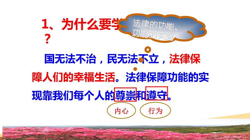 10.2我们与法律同行课件第5页