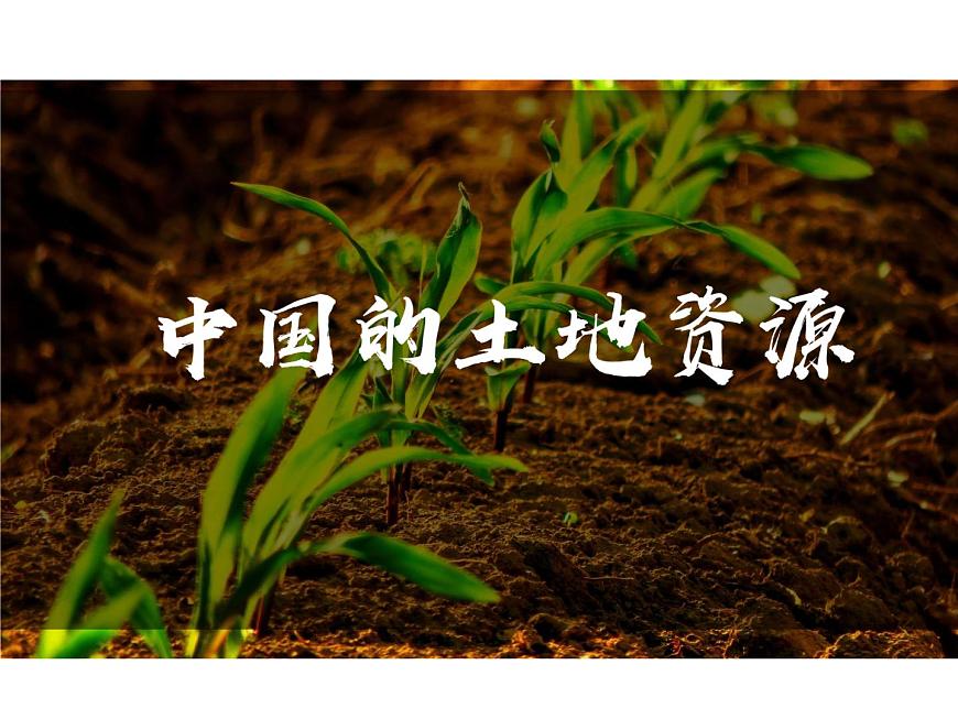 1.1自然資源的數(shù)量質(zhì)量及空間分布2—土地資源和礦產(chǎn)資源 課件 -中圖版（2019）高中地理選修3第2頁