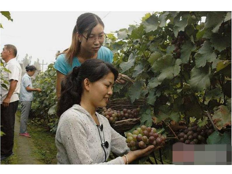 2021-2022学年湘教版(2019)高中地理必修第一册-4.1水循环 课件03