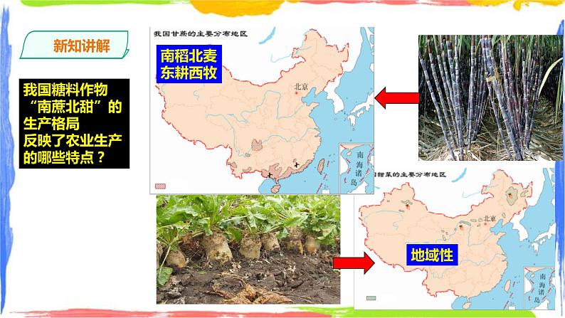 3.1农业区位因素及其变化 课件第5页