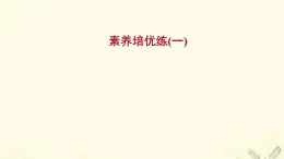 高中地理素養(yǎng)培優(yōu)練打包8套魯教版必修1課件PPT